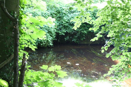 82 Looking towards the long-distance outflow_resize Back at the pool, looking towards the long-distance outlet