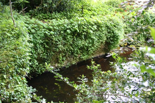 87 Upstream of the bridge_resize Wall upstream of the bridge