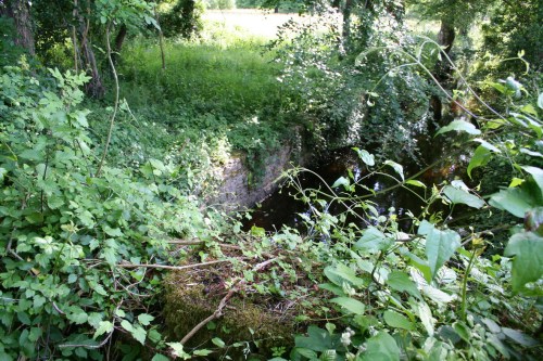 91 Upstream of the bridge_resize Upstream side of the bridge to Waterpark House