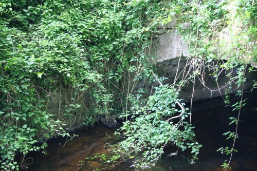 98 Underneath the arches_resize Underneath the arch(es)