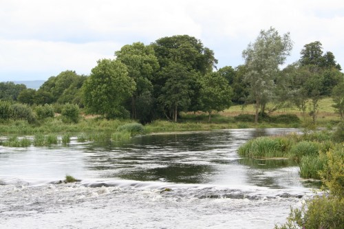 Downstream end of bleach mill outlet_resize The lower outlet rejoins the Shannon amidst the trees