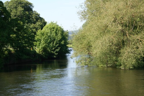 Downstream end of Suir Island (right) (2009)