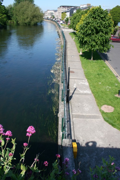 ... and at the New Quay (2009)