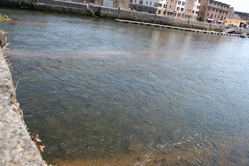 Shoals beetween the arches (2009)