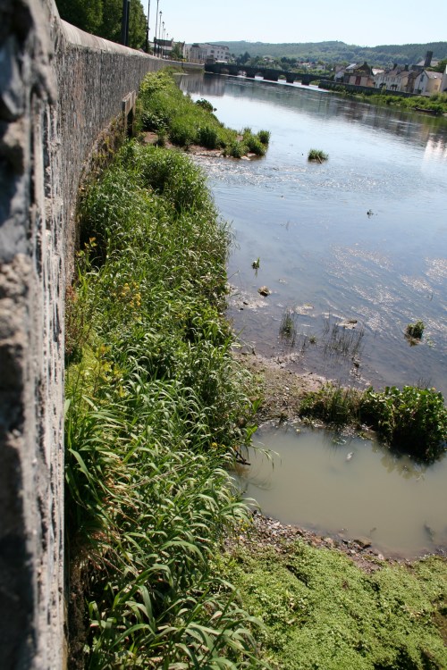 Looking back east towards the town bridge (2009)