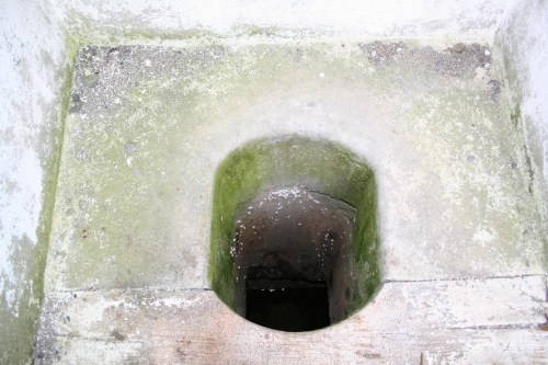 Shannon Harbour loo 5 resize A flash in the pan