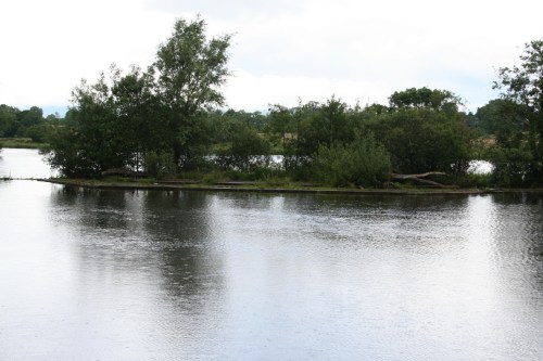 15 Island with well-defined edges_resize