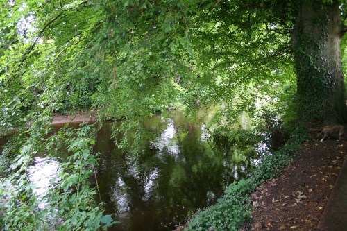 46 The millstream now on our left 04_resize