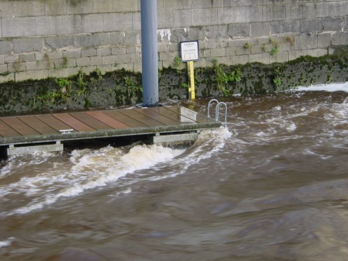 Abbey River 20091128 5_resize