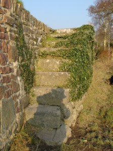 Above the bridge at O'Briensbridge 01_resize