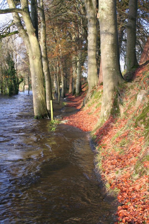 Castleconnell floods 20091125 140_resize
