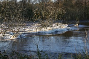 Castleconnell weir during flood 20091120 1_resize