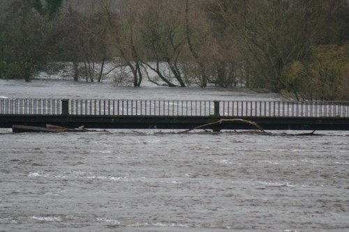 Debris against Black Bridge floods 20091122_resize