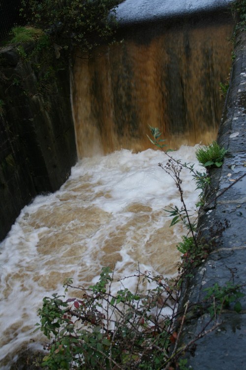 Flow through upper lock floods 20091122 4_resize