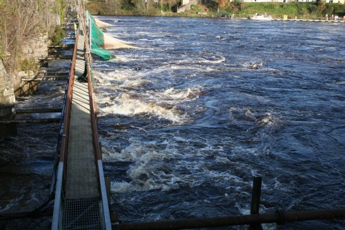 Killaloe floods 20091125 80_resize