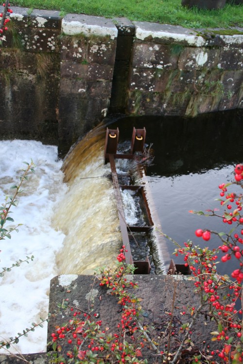 Killaloe floods 20091125 97_resize