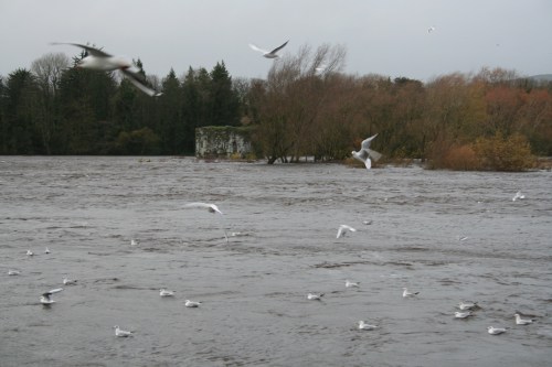 Looking towards the Lax Weir floods 20091122_resize