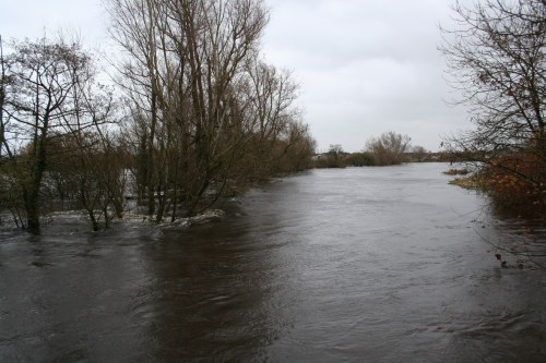 Looking upstream along line of Corbally weir floods 20091122_resize