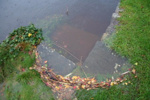 O'Briensbridge 7_resize