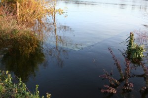 O'Briensbridge during floods 20091120 1_resize