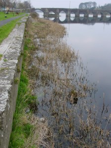 Quay wall O'Briensbridge 01_resize