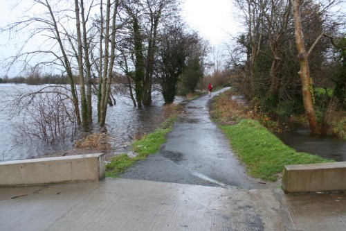 Towing path at Plassey looking upriver floods 20091122_resize