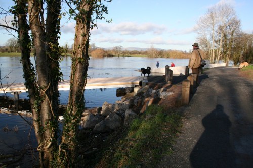 University's new rowing pontoon 03_resize
