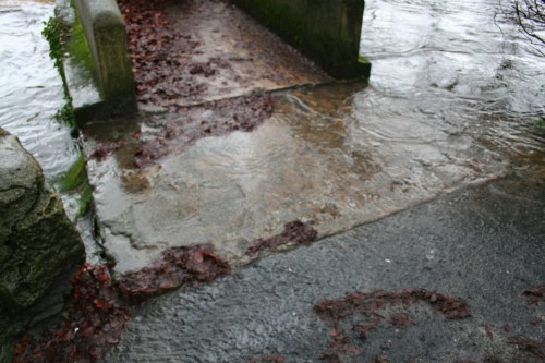 Water flowing across bridge entrance Castleconnell floods 20091127 12_resize