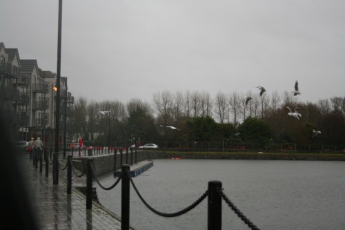 Tralee Ship Canal 94_resize