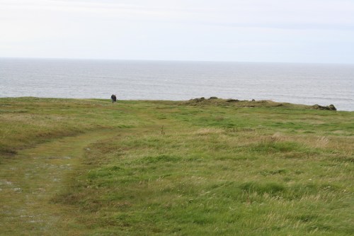 America from Loop Head 10_resize