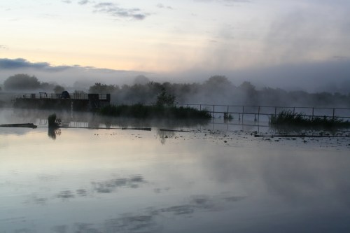 Early morning fog at Tarmonbarry 2_resize