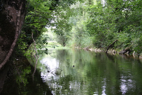 Rockville Bridge 17_resize