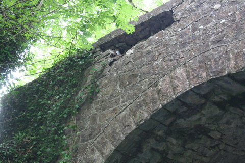 Rockville Bridge 18_resize