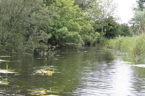 Rockville Bridge to Lough Dooneen A 11_resize