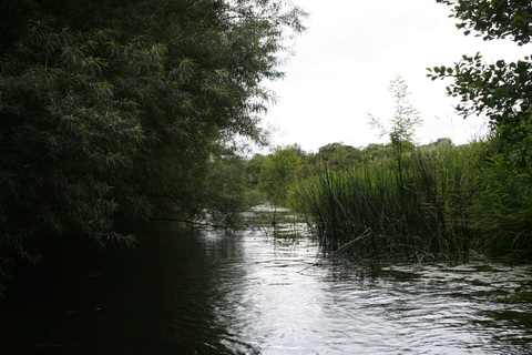 Rockville Bridge to Lough Dooneen A 14_resize