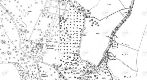 Paradise OSI 2_resize