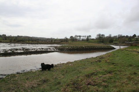 Channel to quay at Killadysert_resize