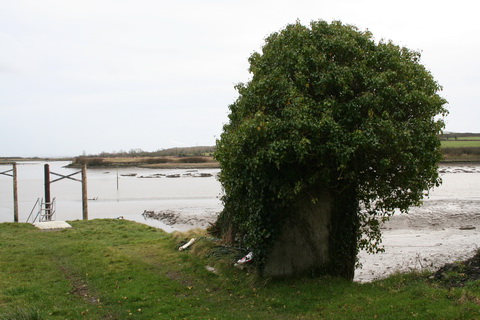 Lackannashinnagh 10_resize