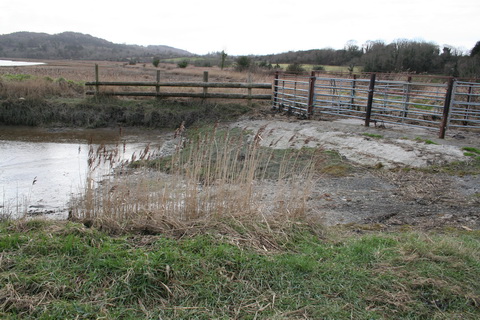 Rosscliff and Deer Island 21_resize