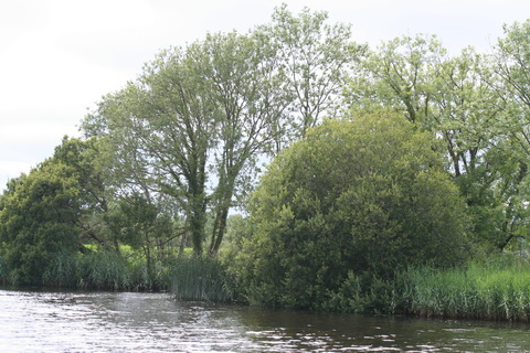 ESB downstream pumping station 1_resize