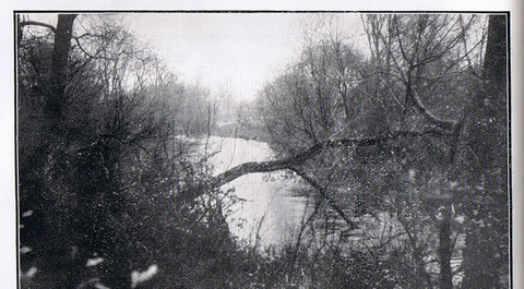 Below Portarlington_resize