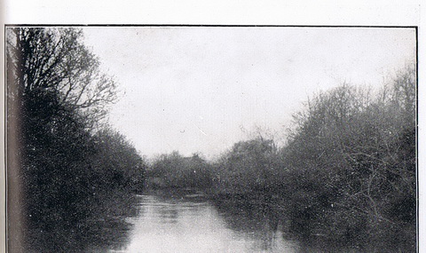 Millgrove Weir Figile River_resize