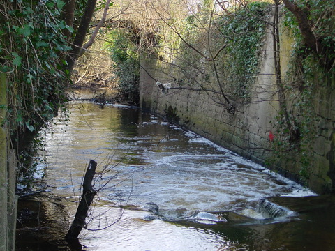 0267 Annaghbeg Lock 03_resize