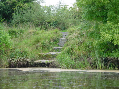 75 More steps_resize