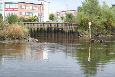 Ardnacrusha to Sarsfield Lock October 2010 41_resize