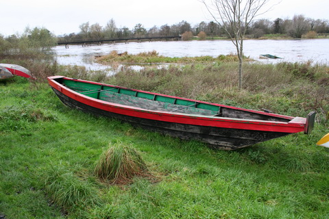 Cots at Plassey November 2009 4_resize