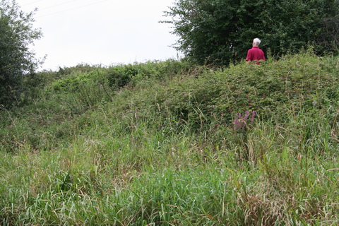 Walker on the right bank_resize