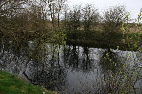 Athlone canal 20120314 19_resize