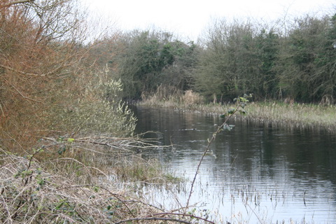 Athlone canal 20120314 20_resize