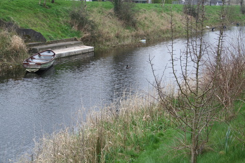 Athlone canal 20120314 26_resize